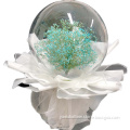 /msite/products/detail/productid/62822219/id/1511964.html